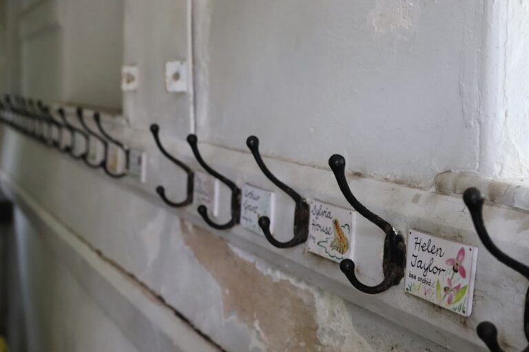 adhesive temporary wall hooks